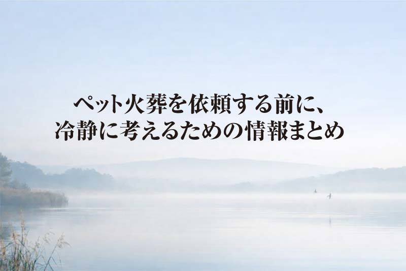 ペット火葬で後悔しないための判断基準まとめ|依頼前に知っておくこと